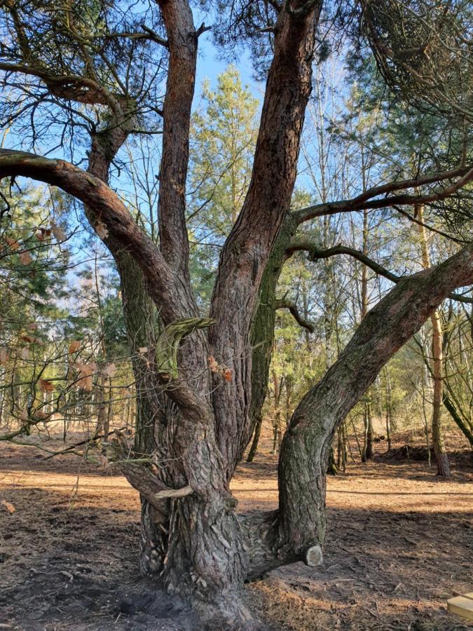 B&B Linje Ell gemeente Leudal Buitenkant foto